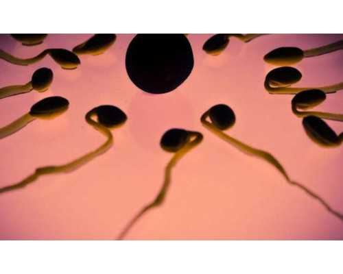 無錫找供卵女,運(yùn)城試管助孕生兒子費(fèi)用大概多少
