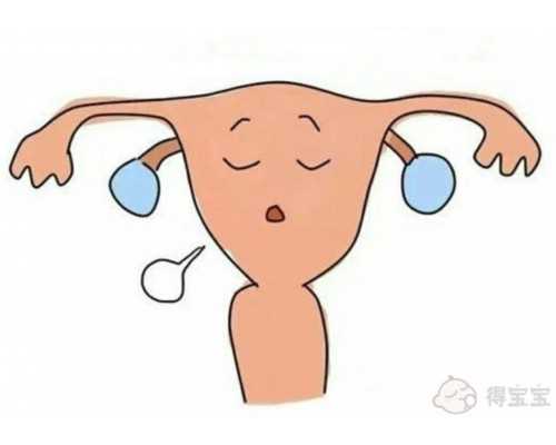 合肥找供卵女,廣州供卵試管機(jī)構(gòu)：做第三代試管女人要受哪些罪？